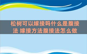 松树可以嫁接吗什么是腹接法 嫁接方法腹接法怎么做